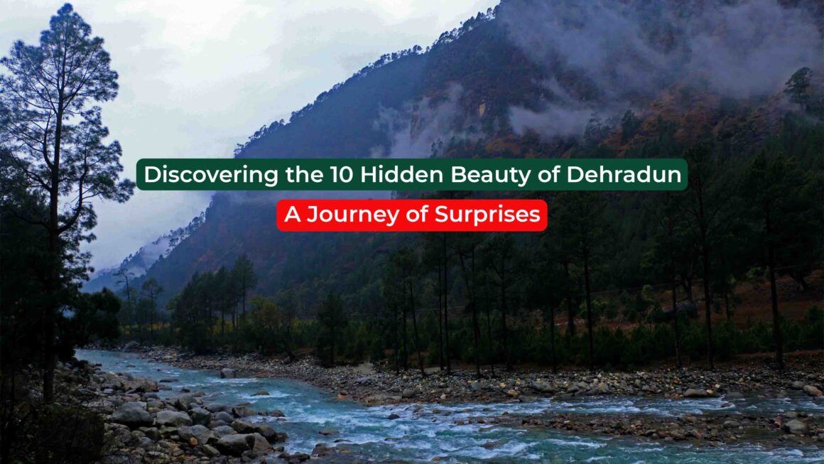 Discover the Charm of Dehradun: Top 10 Things to Do and See