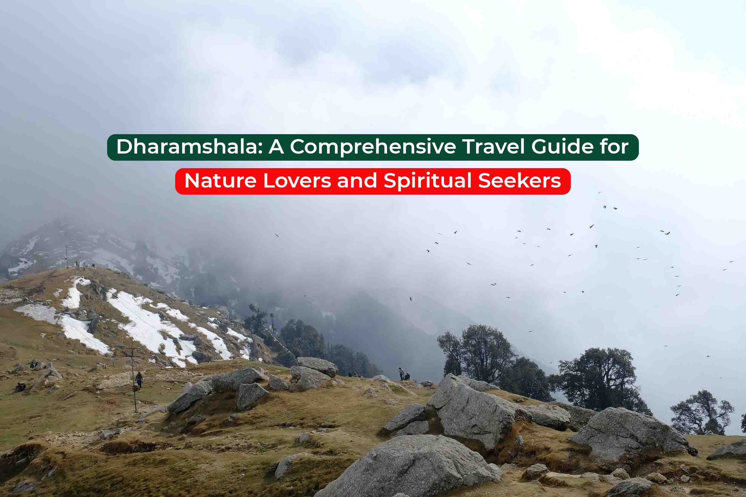 Dharamkot, Dharamshala, Himachal Pradesh, India