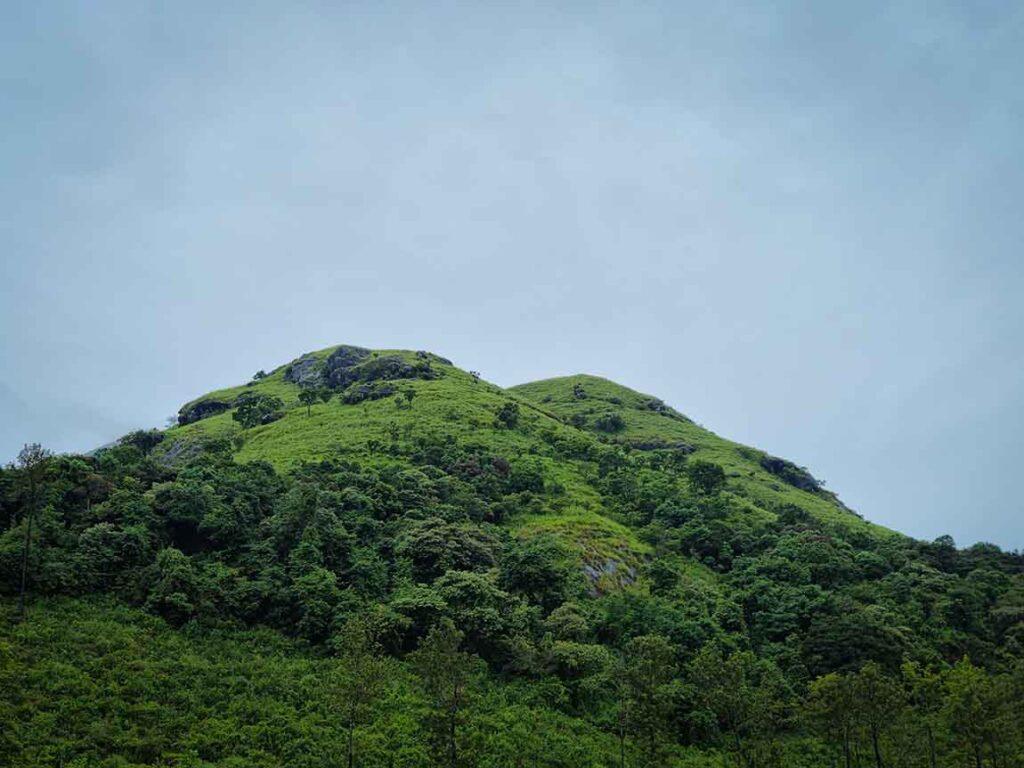 Chembra Peak, Kerala