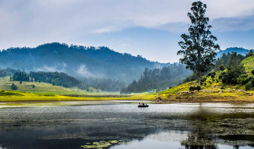 Kodaikanal lake Morning view