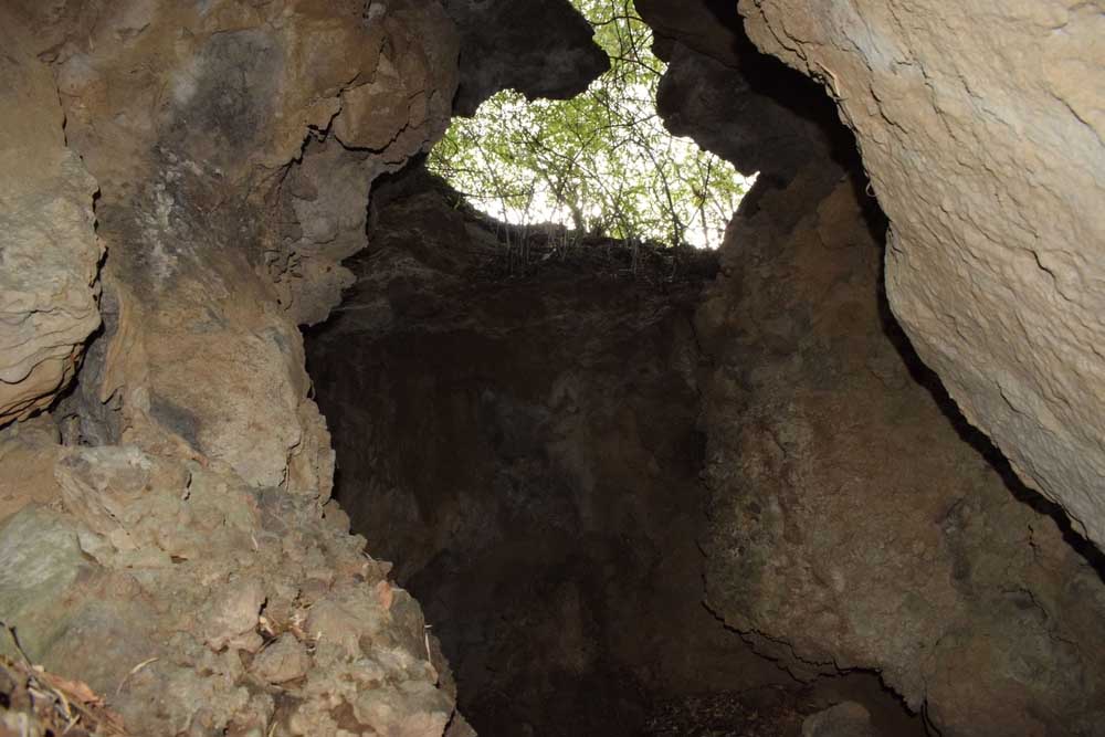 Entrance of the mystic Eco Cave Gardens, surrounded by the lush greenery of Nainital.