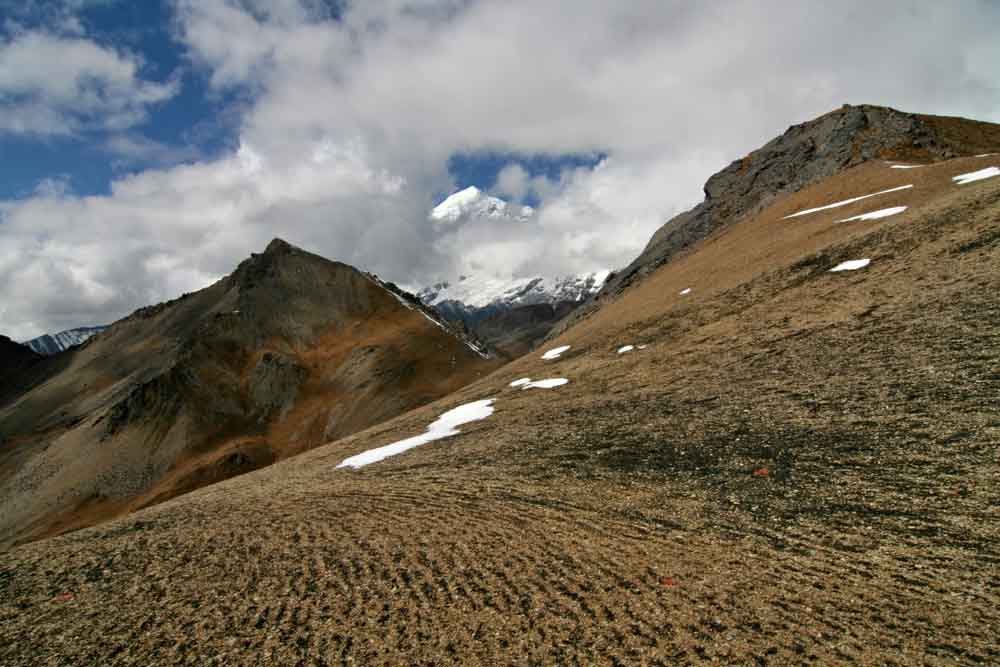 Lush landscapes of Dorji National Park, a biodiversity hotspot in Bhutan. Image Title: