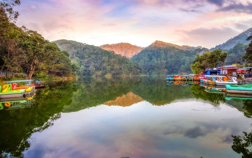 Lush green surroundings enveloping the serene waters of Sattal in Nainital.